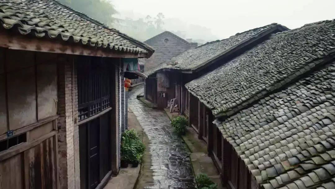 深度学习星球-探索cαme翻译成中文?知识的独特平台